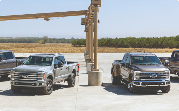 Fleet of Ford pickups on a jobsite.